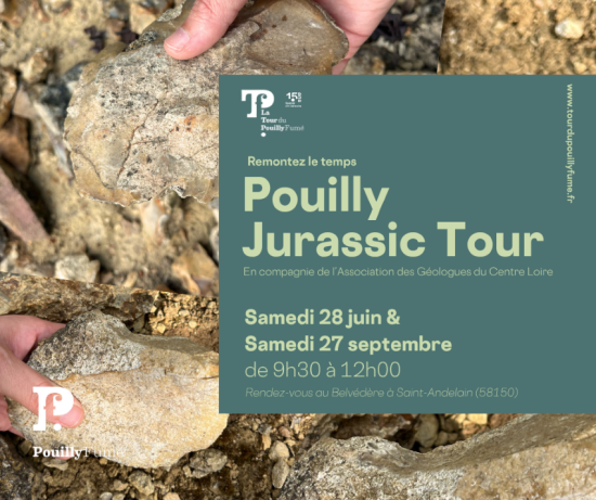 Affiche Pouilly Jurassic Tour