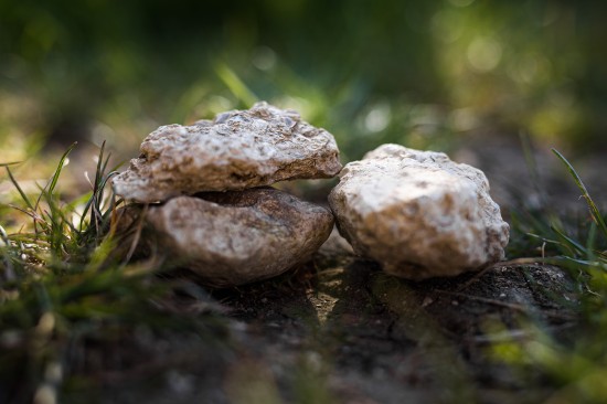 Terroirs Centre-Loire
