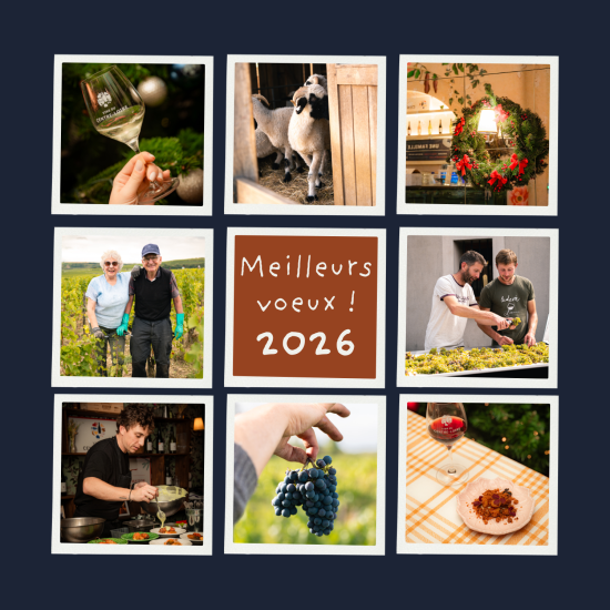 Meilleurs voeux 2026