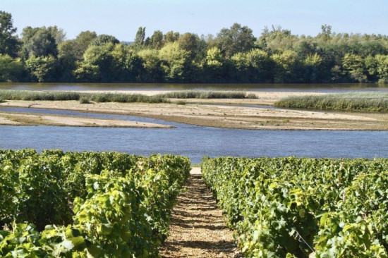 Loire et Vignes - Pouilly sur Loire