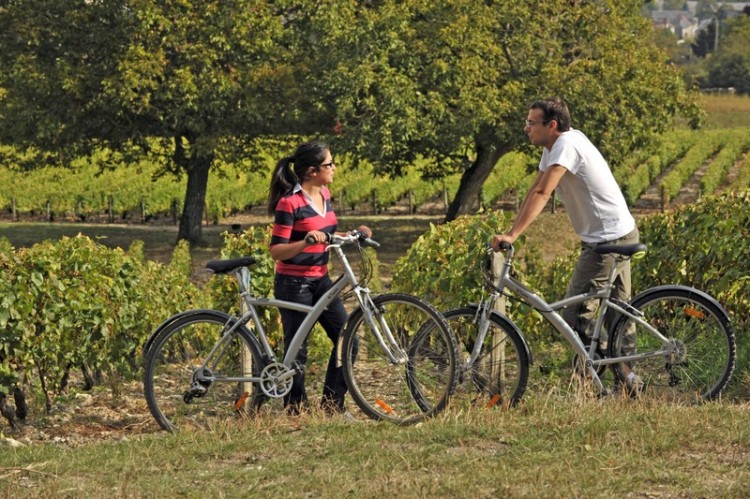 Balade à vélo dans les vignobles du Centre-Loire