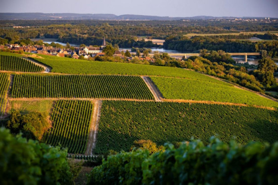 Vignobles de Pouilly Fumé