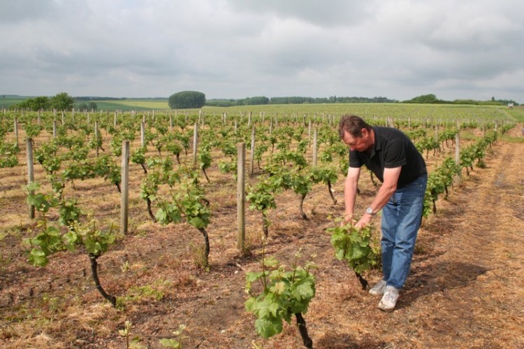 Domaine Cordier - D&eacute;couvrez les Vins du Centre-Loire ! Site Officiel