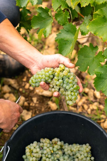 Harvest Centre-Loire