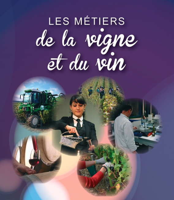 Métiers Vigne Vin Centre-Loire