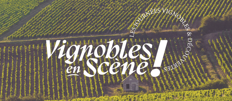 vignobles en scene