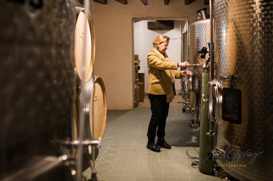 Vinification