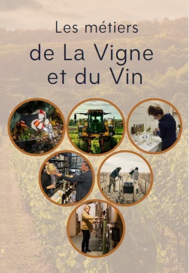 Métiers Vigne Vin Centre-Loire