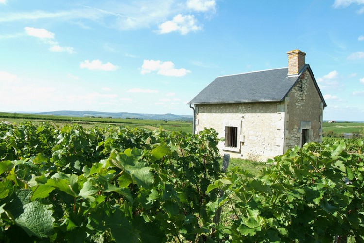 Cabane dans les vignes du Centre-Loire